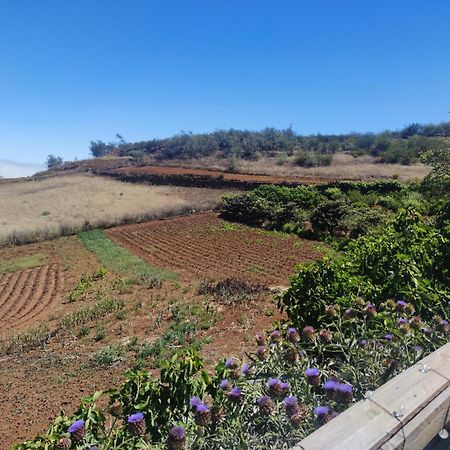 Finca El Cercadillo Gáldar Kültér fotó