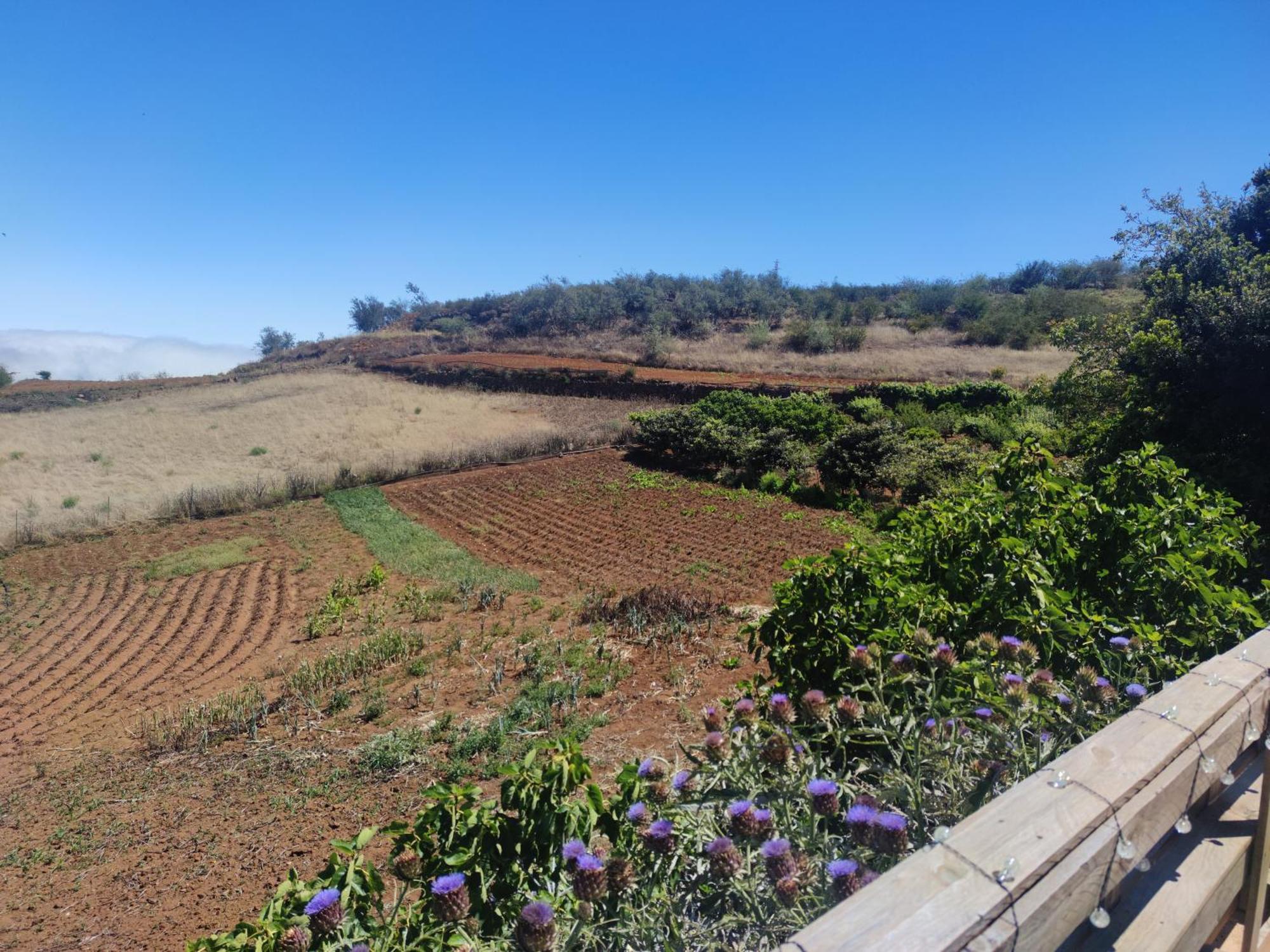 Finca El Cercadillo Gáldar Kültér fotó